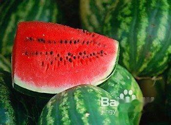 试管促排期可以吃茄瓜吗,茄瓜可否食用？