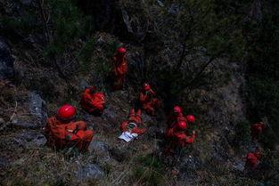 花落吃瓜10,揭秘娱乐圈背后的秘密与真相
