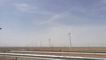 吃瓜青海,吃瓜之旅，品味高原风味