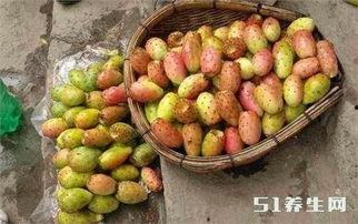 vac仙桃吃瓜,揭秘网络红人吃瓜背后的故事