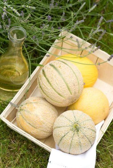 二逗吃瓜,揭秘娱乐圈那些不为人知的幕后故事