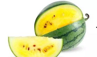 瓜哥哥带你吃西瓜,瓜哥哥带你畅游夏日西瓜盛宴