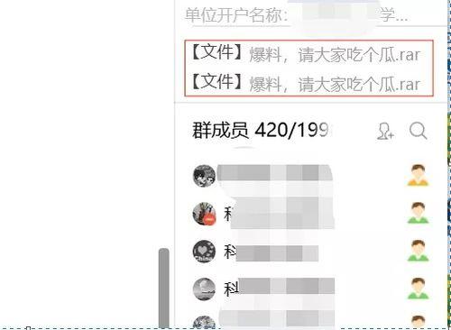 吃瓜zip压缩包,一窥压缩包中的趣味世界