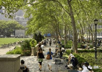 金乡公园吃瓜事件,一场引发热议的公共道德风波