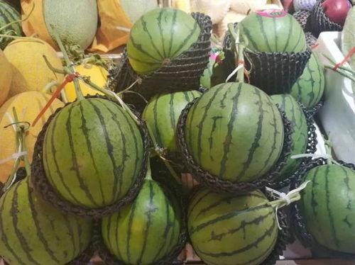 小司吃瓜,揭秘娱乐圈那些不为人知的幕后故事