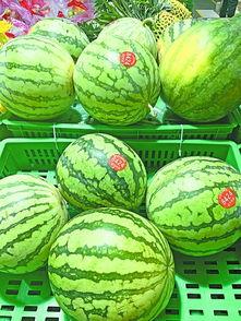 武汉吃瓜大全,吃瓜大全里的风味盛宴