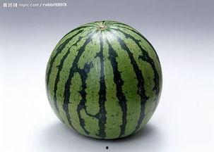 爆料吃瓜必吃大瓜图片,吃瓜群众必看！