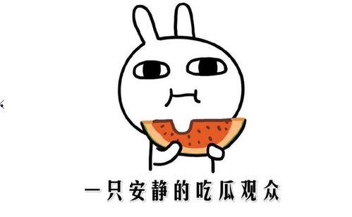 吃瓜是何意思,网络热词背后的文化现象