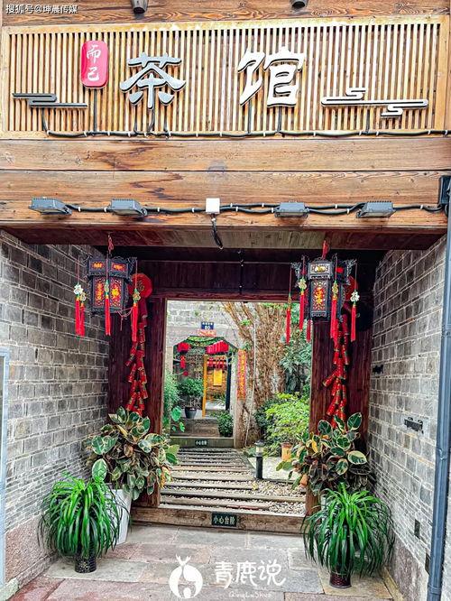 南塘老街吃瓜,夏日吃瓜盛宴，品味传统与现代交融的市井风情