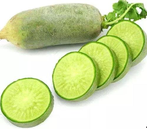 小糖果吃萝卜瓜,小糖果的萝卜瓜冒险之旅