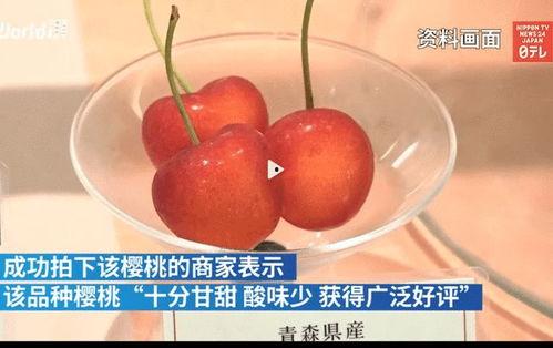 吃蜜瓜和樱桃,夏日甜蜜双享之旅