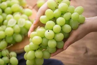 工资花不完吃瓜,吃瓜群众的生活哲学