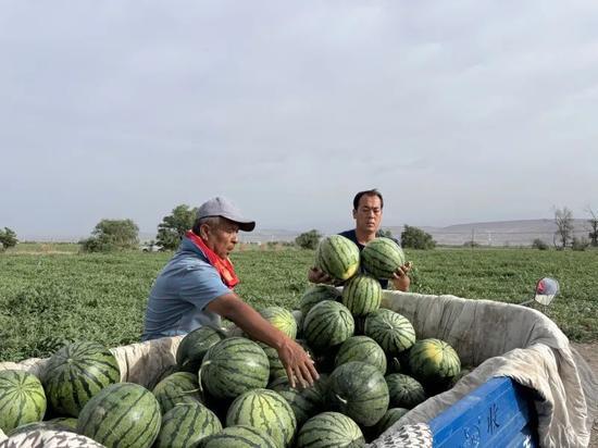 苏6吃瓜,揭秘娱乐圈背后的那些事儿