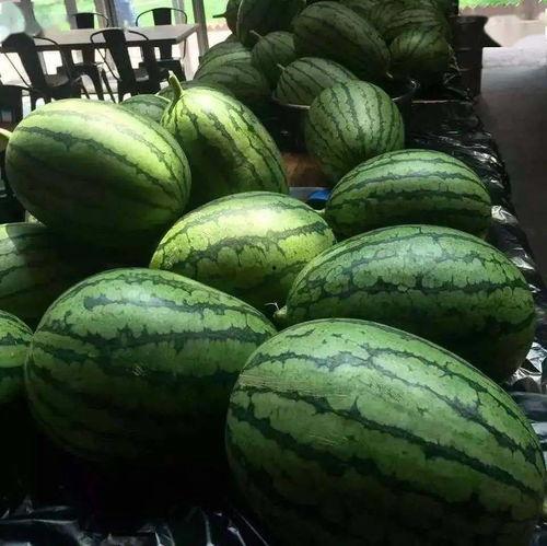 吃瓜7分,吃瓜7分，真相大白