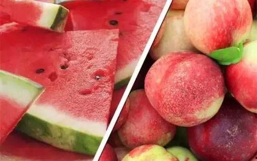 桃桃酱吃瓜,揭秘娱乐圈那些不为人知的幕后故事