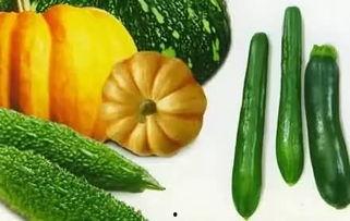 曹县韩翰林府吃瓜,一场别开生面的“吃瓜”盛宴